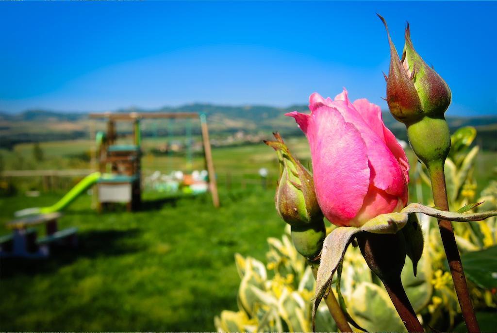 Agriturismo Il Canterino Guardistallo Exterior foto