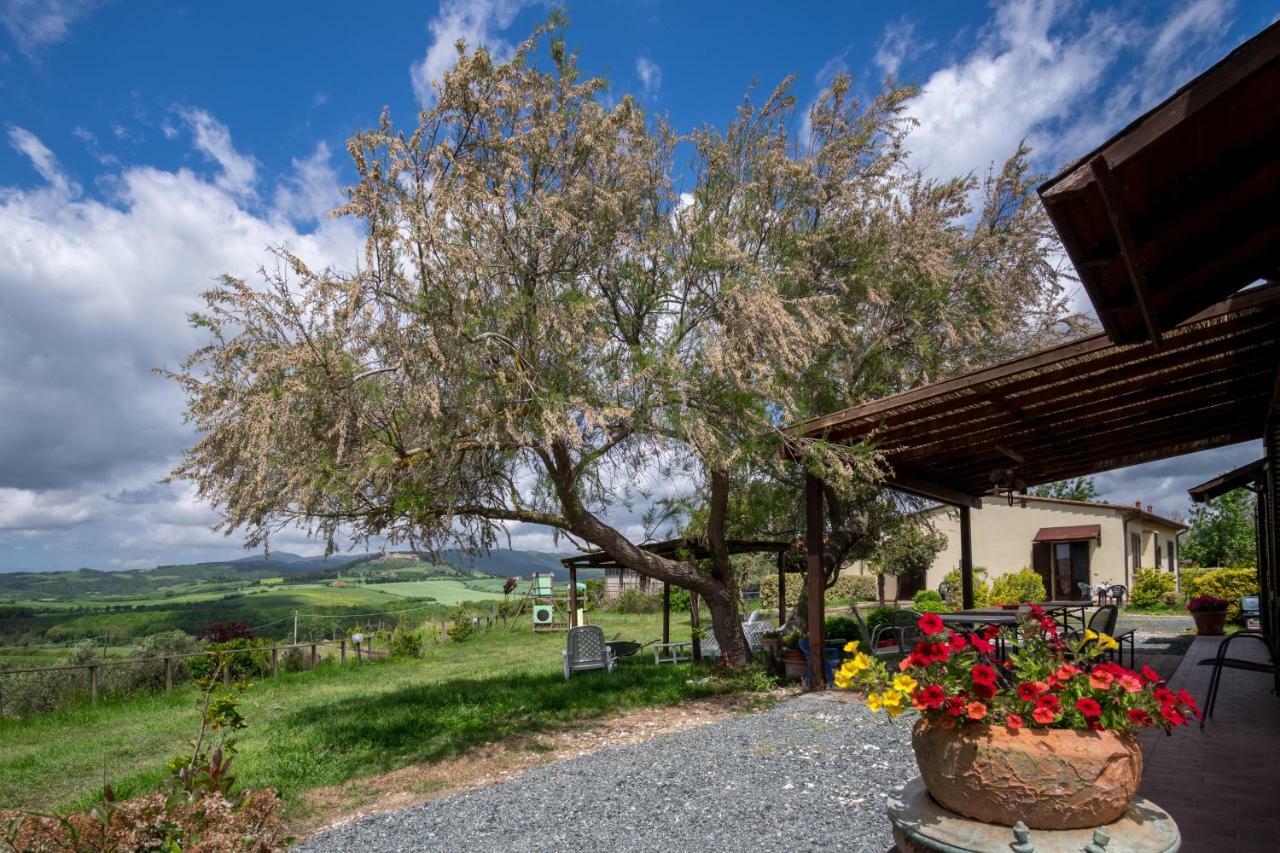 Agriturismo Il Canterino Guardistallo Exterior foto